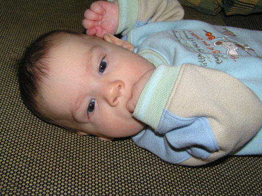 levi_mar2.jpg levi_mar2.jpg