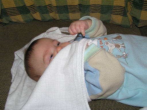 levi_mar2_2.jpg levi_mar2_2.jpg