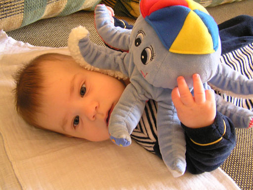 levi_mar24_1.jpg levi_mar24_1.jpg