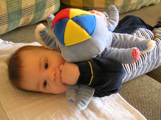 levi_mar24_2.jpg levi_mar24_2.jpg