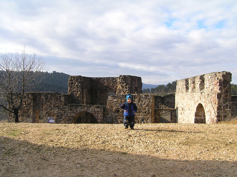 levi_2011_02_06.jpg
