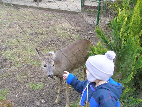 levi_2011_01_16.jpg levi_2011_01_16.jpg