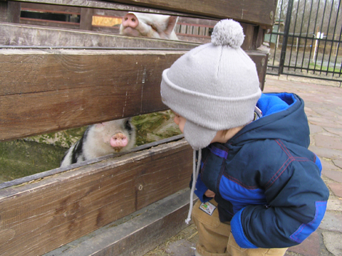 levi_2011_01_16_1.jpg levi_2011_01_16_1.jpg