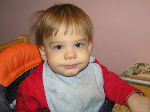 levi_11_16_1.jpg