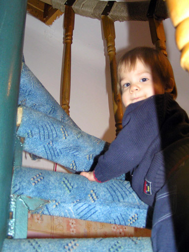 levi_12_14.jpg levi_12_14.jpg