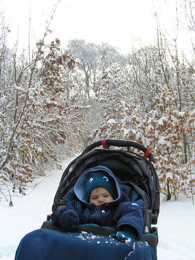 levi_2010_01_23_2.jpg levi_2010_01_23_2.jpg