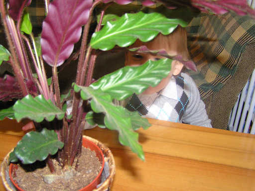 levi_2010_02_09_3.jpg