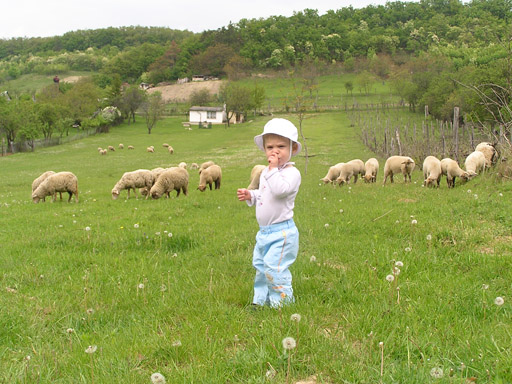 levi_2010_05_03_5.jpg