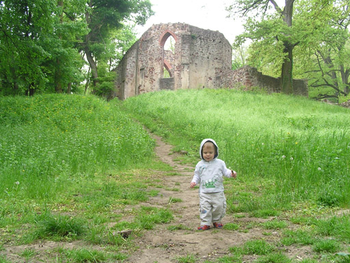 levi_2010_05_05_2.jpg